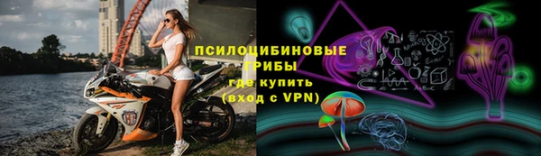 ПСИЛОЦИБИНОВЫЕ ГРИБЫ Магас