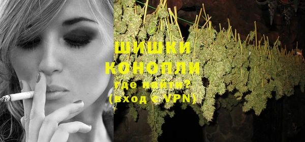 ПСИЛОЦИБИНОВЫЕ ГРИБЫ Магас