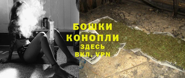 ПСИЛОЦИБИНОВЫЕ ГРИБЫ Магас