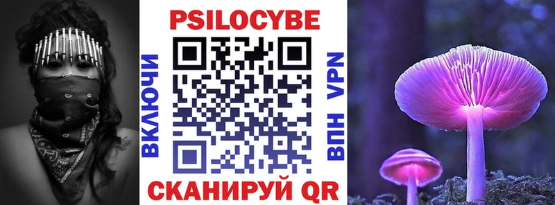 Галлюциногенные грибы Psilocybine cubensis  Зверево 